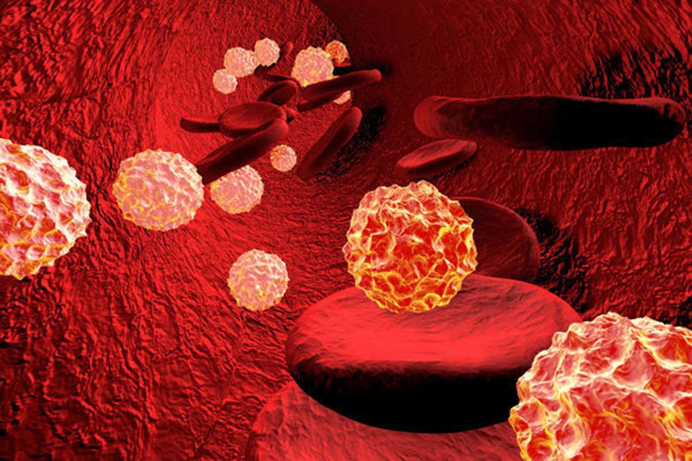Hepatitte kritik süre 6 ay Hepatitte kritik süre 6 ay